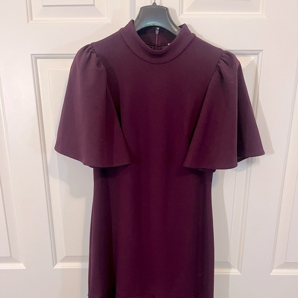 Calvin Klein Eggplant-Colored Dress with Flutter Sleeves - Size 8 - Picture 1 of 5